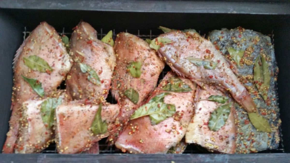 Nopirkt Kungu kūpinātavu PLATINUM-3DMaster